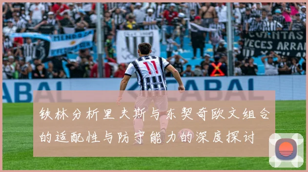 铁林分析里夫斯与东契奇欧文组合的适配性与防守能力的深度探讨